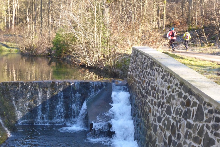 Dem Himmel so nah - Laufberichte - Trailrunning